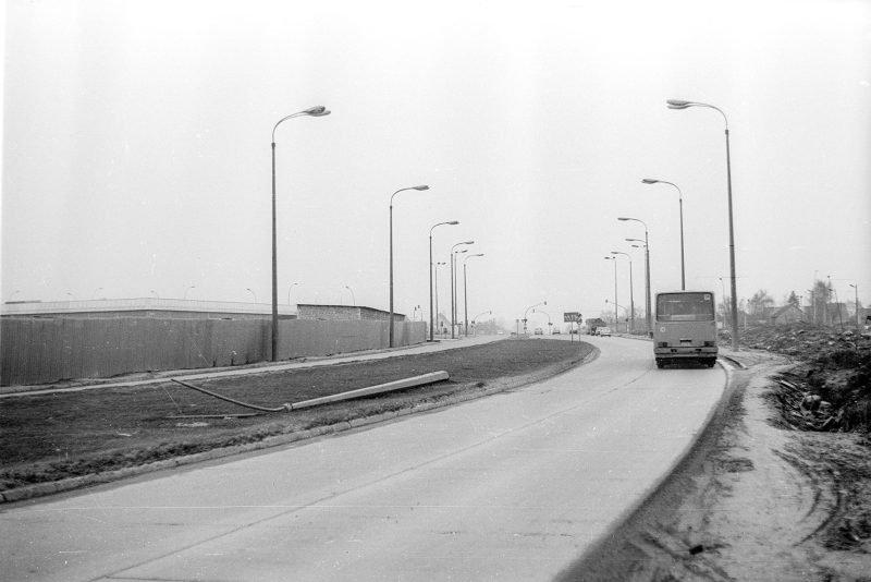 20.5.1982 / Berlin / Liegende - 70 x 100 cm