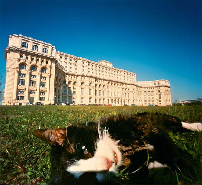 "Palatul Parlamentului" 2010; 106 x 106 cm, C-Print