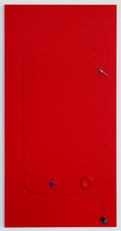 Colour Garden 2, 2015 - 200 x 100 cm