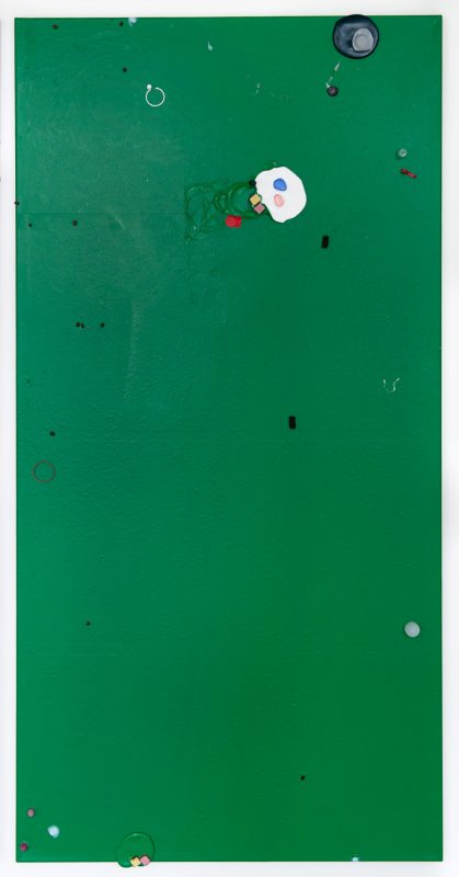 Colour Garden 6, 2015 - 200 x 100 cm