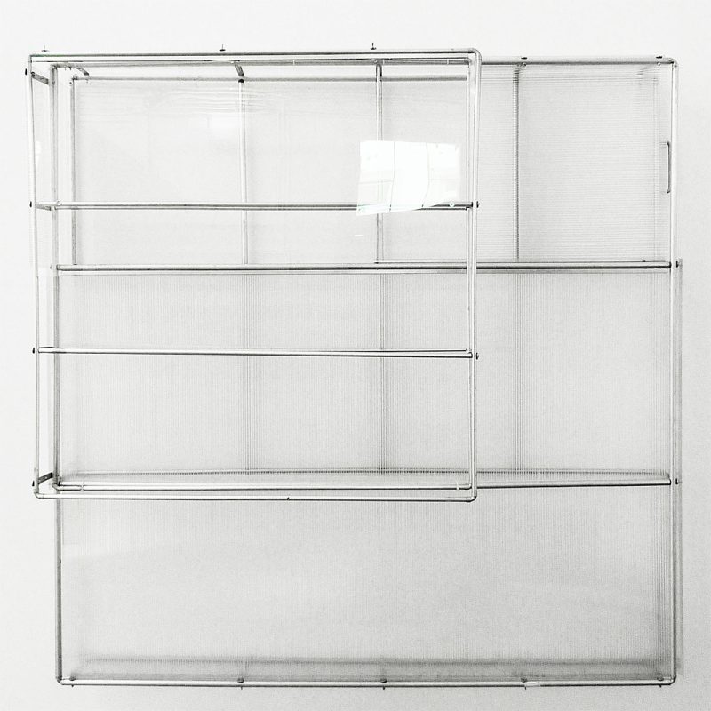 "cage for lazy species" 2012; 100 x 160 cm