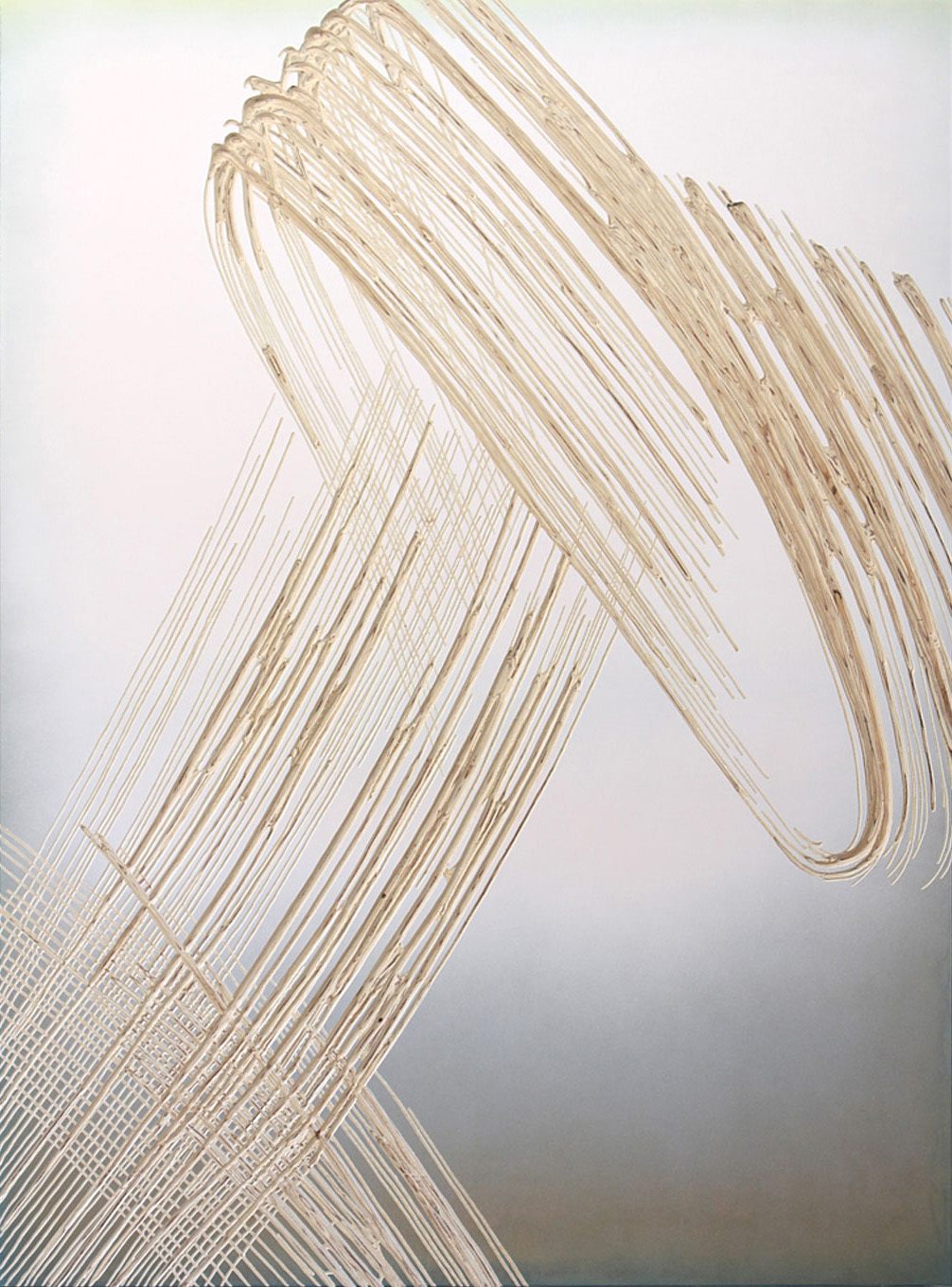 2017 o.T.  190 x 140 x 4 cm fade broom